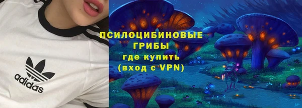 прущий лед Армянск
