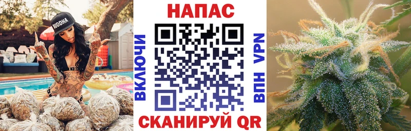 как найти   Ряжск  Шишки марихуана OG Kush 